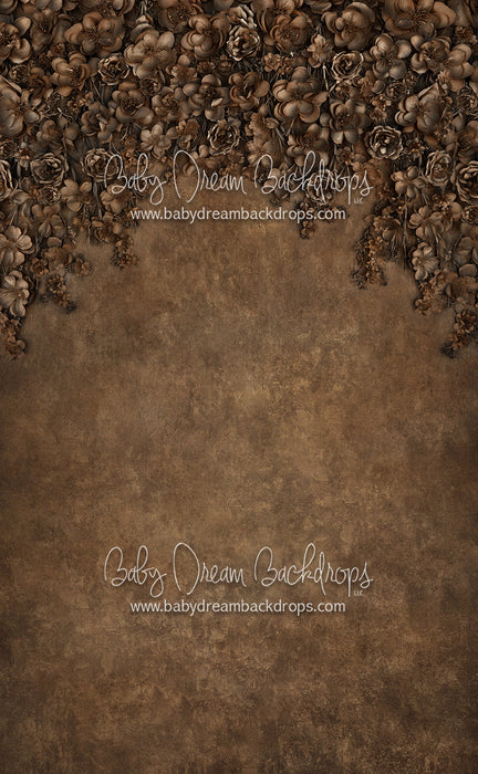 Sweeps Miss Maddie Bronze