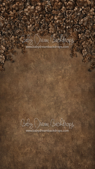 Sweeps Miss Maddie Bronze