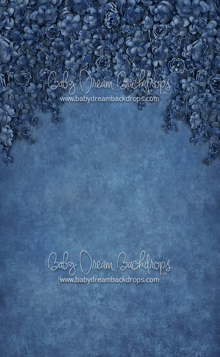 Sweeps Miss Maddie Cobalt