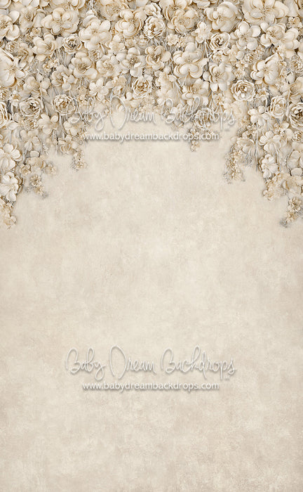 Sweeps Miss Maddie Cream