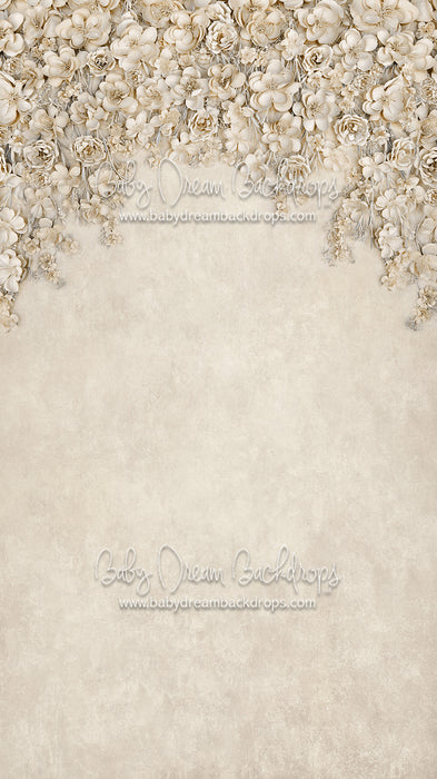 Sweeps Miss Maddie Cream