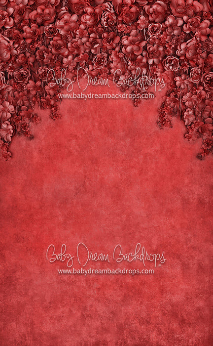 Sweeps Miss Maddie Crimson