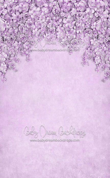 Sweeps Miss Maddie Lavender