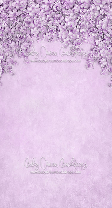 Sweeps Miss Maddie Lavender