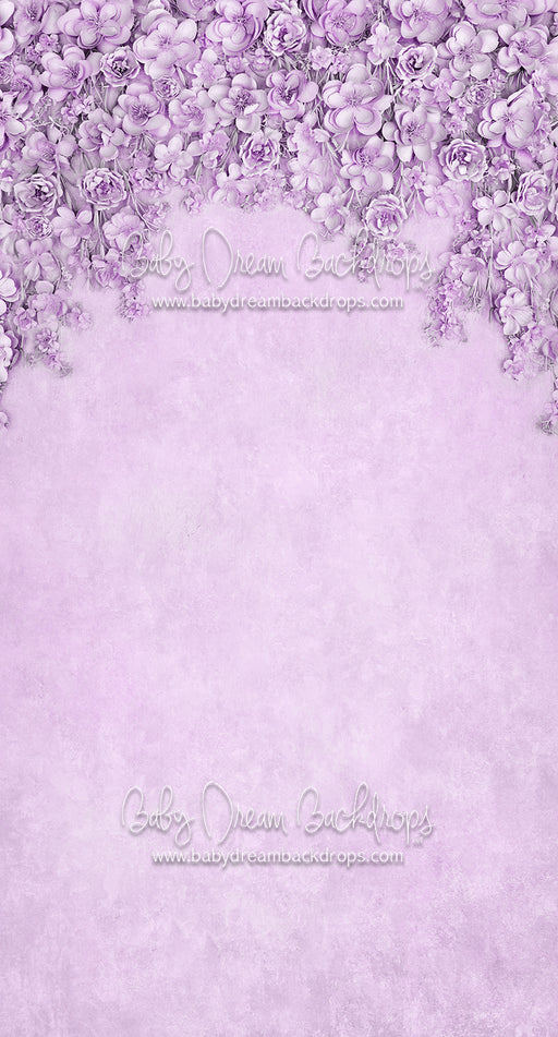 Sweeps Miss Maddie Lavender