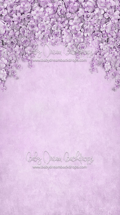 Sweeps Miss Maddie Lavender