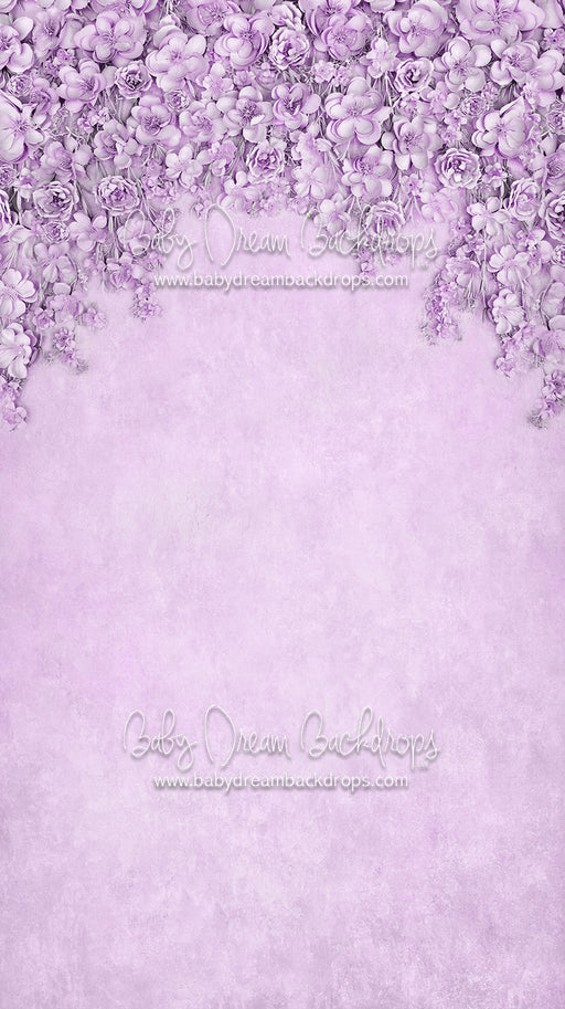 Sweeps Miss Maddie Lavender