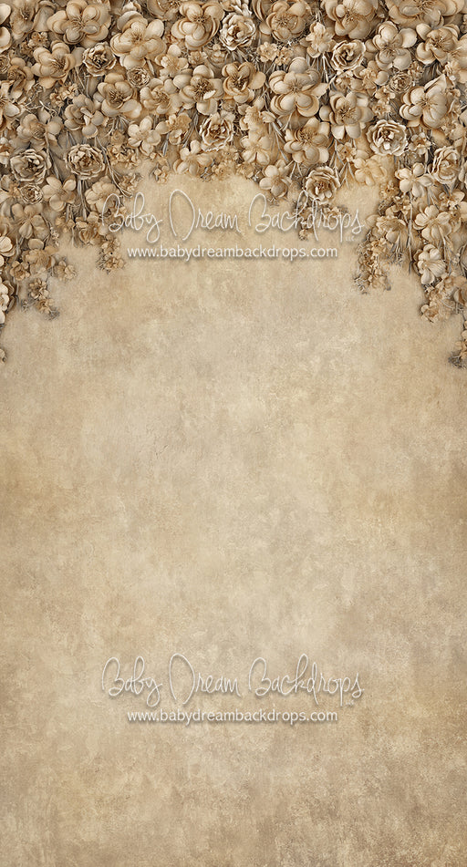 Sweeps Miss Maddie Tawny