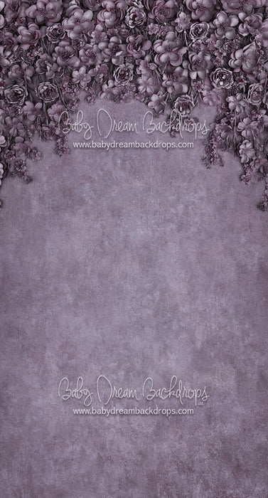 Sweeps Miss Maddie Violet