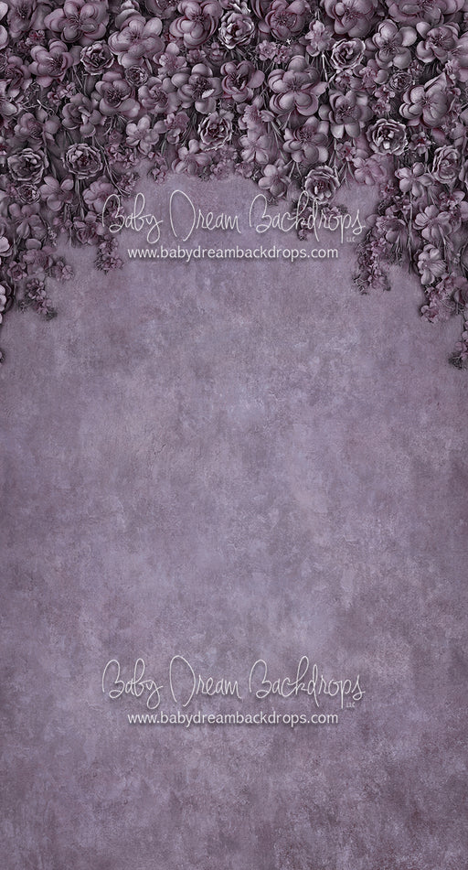 Sweeps Miss Maddie Violet