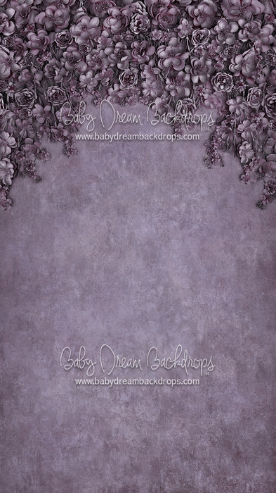 Sweeps Miss Maddie Violet