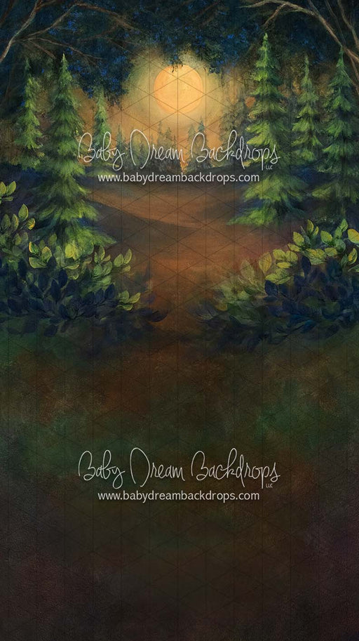 Sweeps Moonlit Wilderness