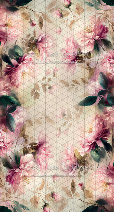 Sweeps Oh Happy Day (LL)