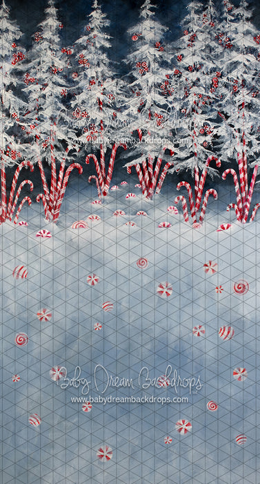 Sweeps Peppermint Delight (Extra on Floor)  (SS)