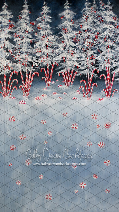 Sweeps Peppermint Delight (Extra on Floor)  (SS)