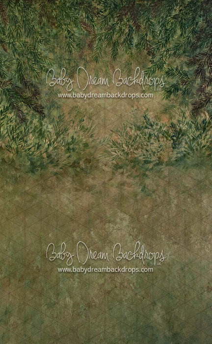 Sweeps Pine Paradise