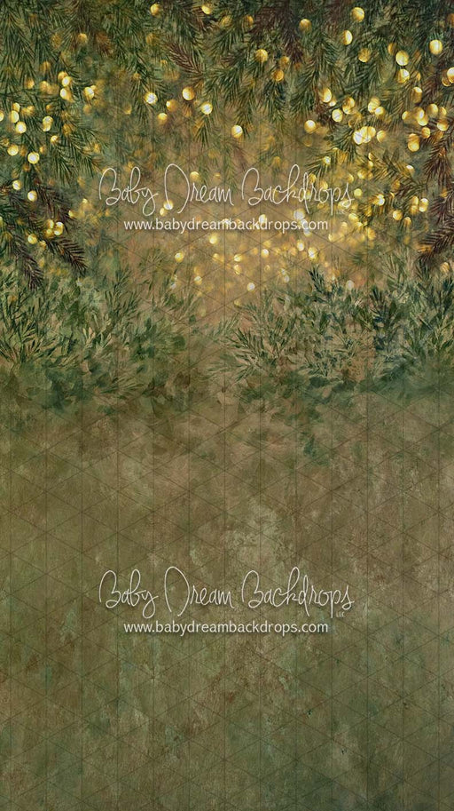 Sweeps Pine Paradise Bokeh