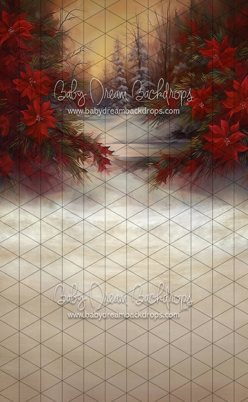 Sweeps Poinsettia Paradise (LL)