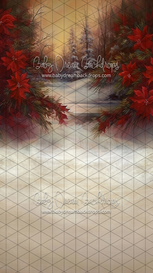 Sweeps Poinsettia Paradise (LL)