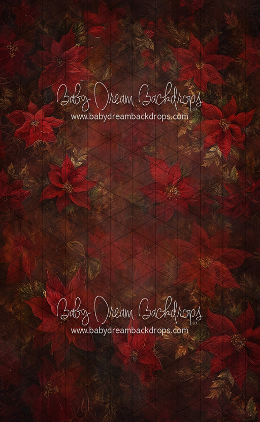 Sweeps Poisettia Persuasion (LL)