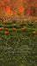 Sweeps Pumpkin Picking Autumn Field 