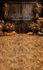 Sweeps Pumpkins by the Barn Doors (JA)