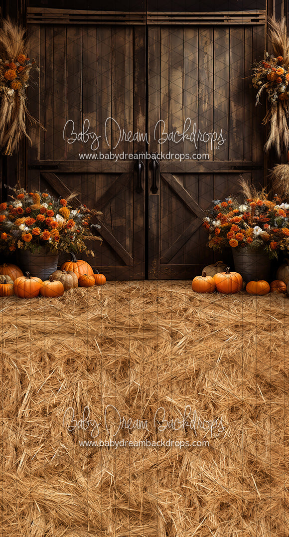 Sweeps Pumpkins by the Barn Doors (JA)