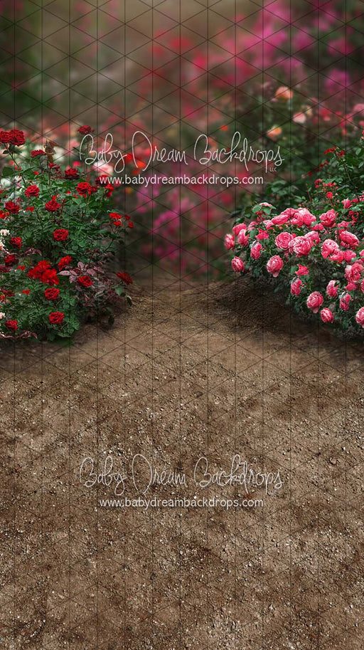 Sweeps Romantic Rose Path (CC)