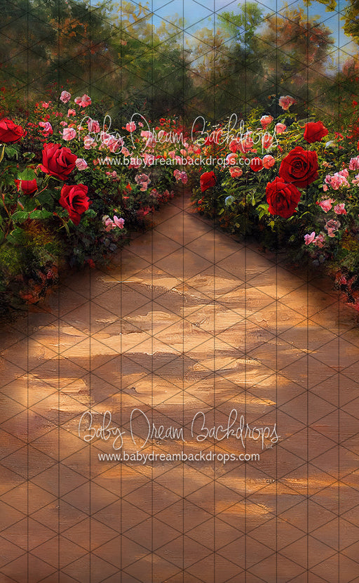 Sweeps Rose Walk (LL)