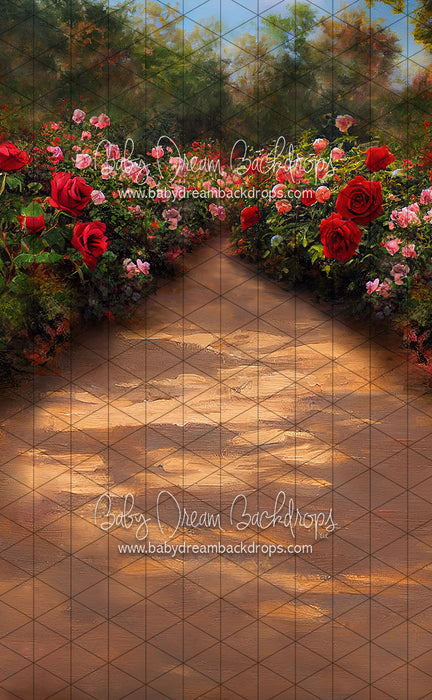 Sweeps Rose Walk (LL)