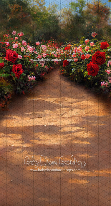 Sweeps Rose Walk (LL)