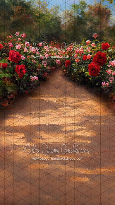 Sweeps Rose Walk (LL)