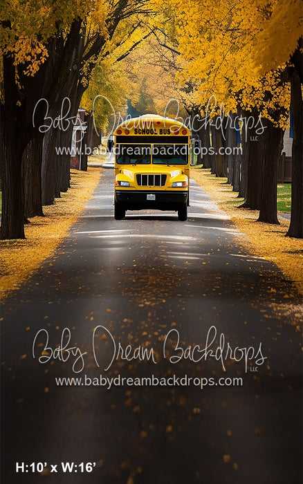 Sweeps School Bus Drive (AZ)