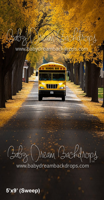 Sweeps School Bus Drive (AZ)