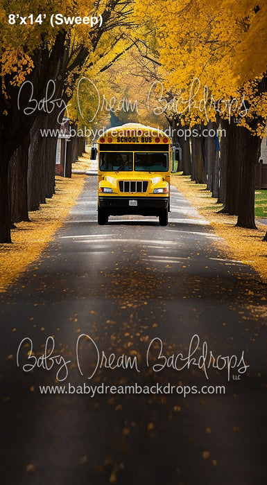 Sweeps School Bus Drive (AZ)