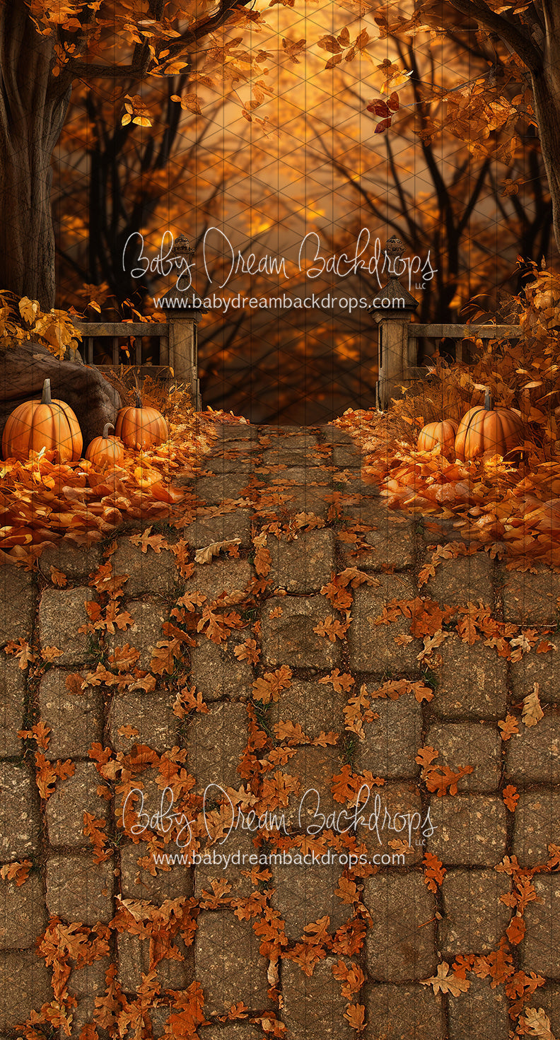 Sweeps Simple September Stroll (JA) — Baby Dream Backdrops