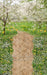 Sweeps Simple Spring Path (CC)