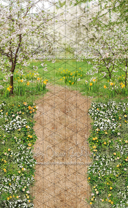 Sweeps Simple Spring Path (CC)