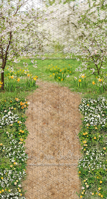 Sweeps Simple Spring Path (CC)