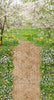 Sweeps Simple Spring Path (CC)