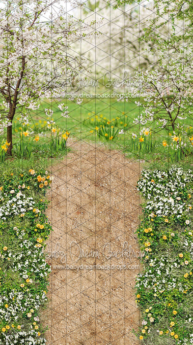Sweeps Simple Spring Path (CC)