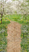Sweeps Simple Spring Path (CC)