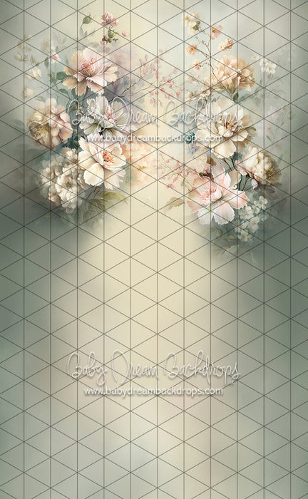 Sweeps Spring Smile (LL)