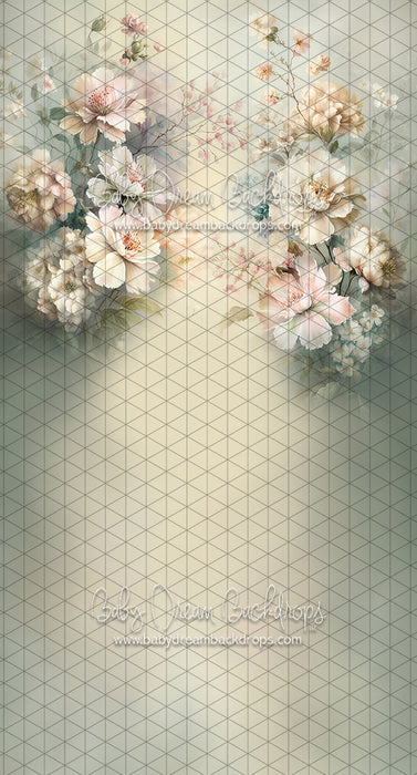 Sweeps Spring Smile (LL)