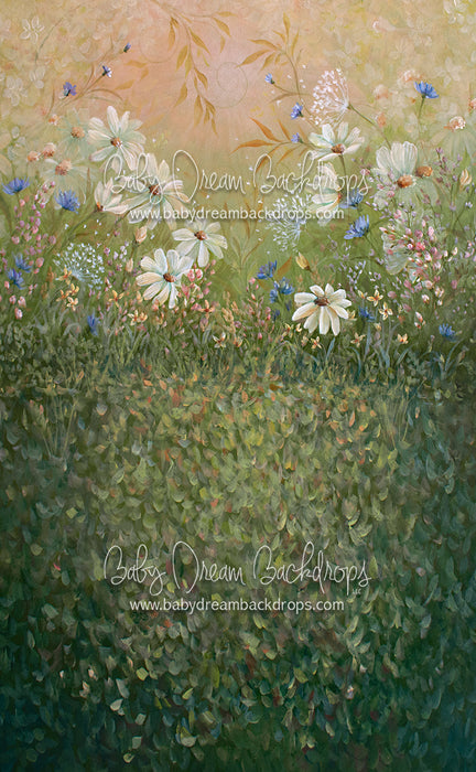 Sweeps Summer Sensation