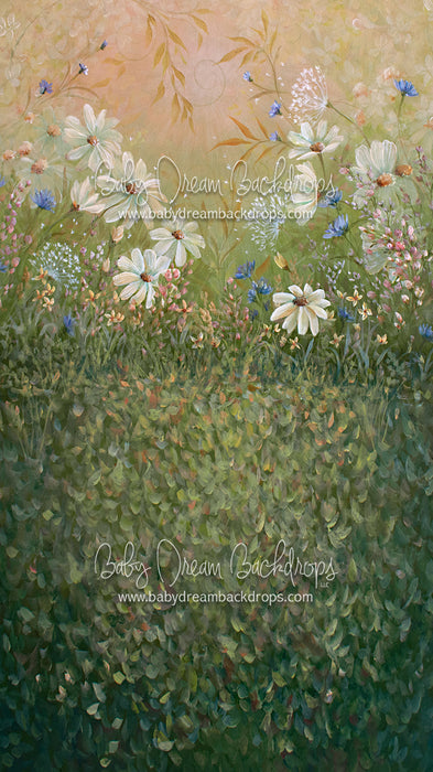 Sweeps Summer Sensation