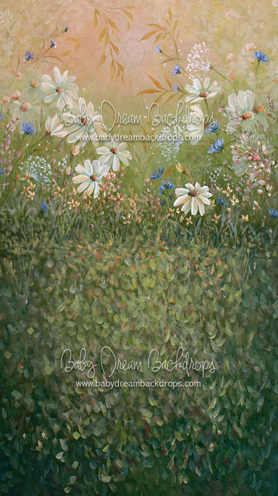 X Drop Sweeps summer sensation