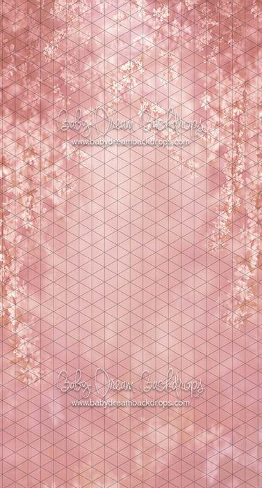 Sweeps Swept Up in Spring Bashful