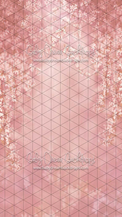 Sweeps Swept Up in Spring Bashful