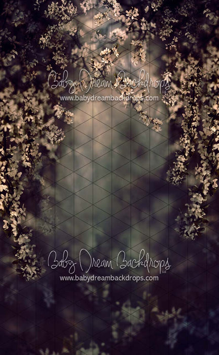 Sweeps Swept Up in Spring Moody